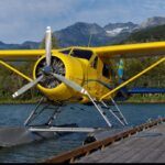 de Havilland Canada DHC-2 Beaver MK1 - Image 10