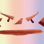 Boeing  B-757-200 - Image 15
