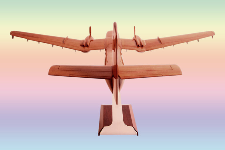 de Havilland Canada DHC-4  Caribou - Image 6