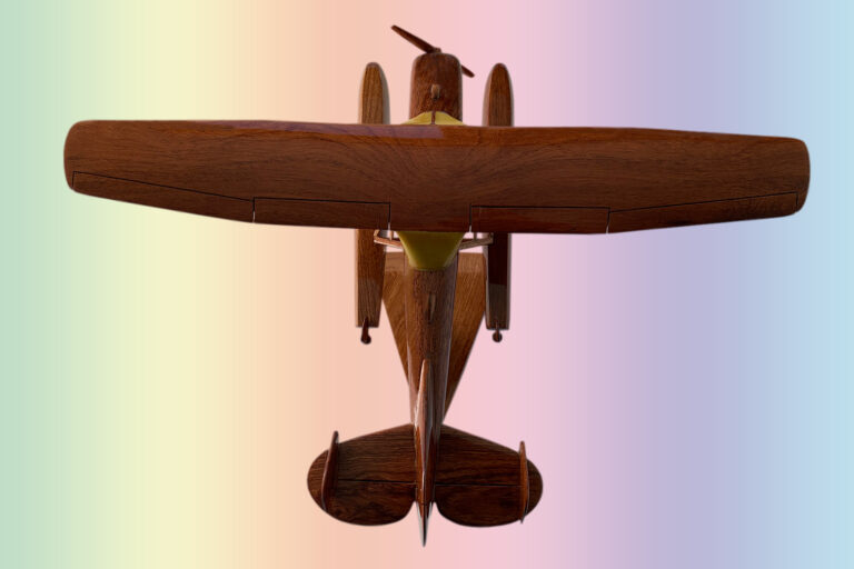 Cessna L-19 Float - Image 8