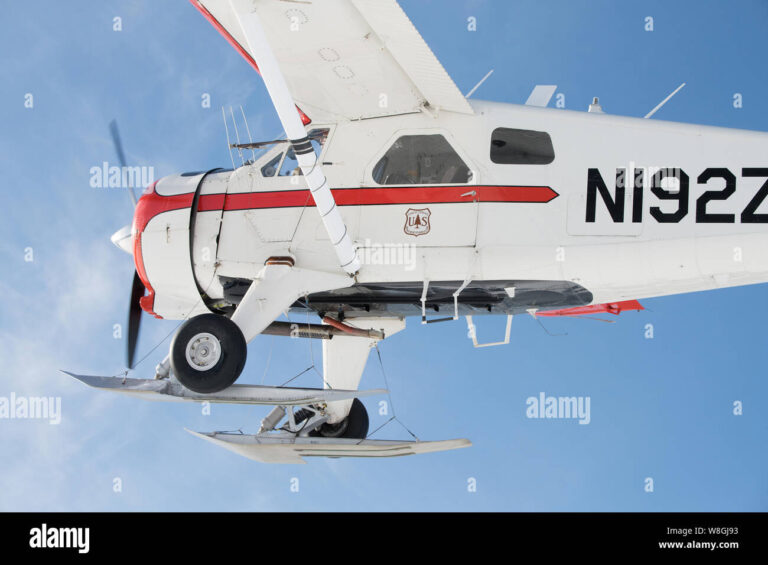 de Havilland DHC-2  Turbo/ wheel ski - Image 19