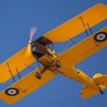 de Havilland Tiger Moth DH.82 on wheel - Image 14