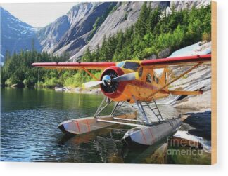 dehavilland-beaver-float-plane-moored-at-lake-manzoni-chip-porter