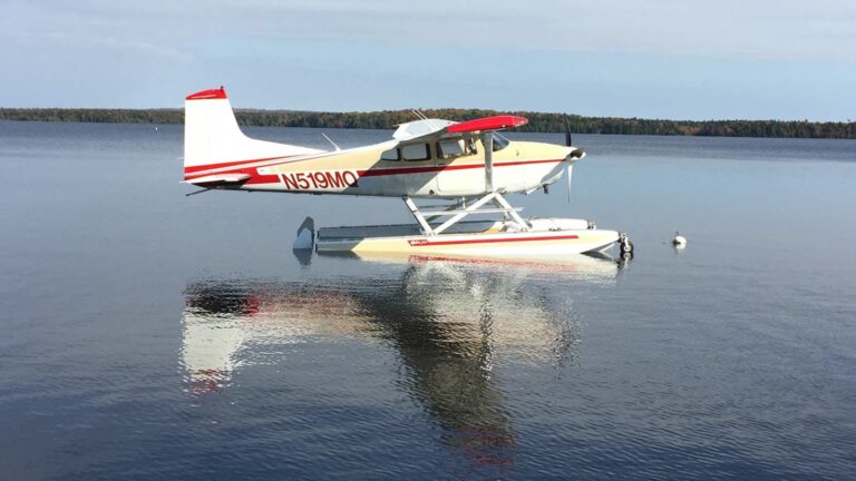 Cessna 180 Skywagon Float - Image 15