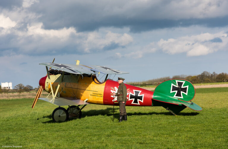 Albatros - Image 14