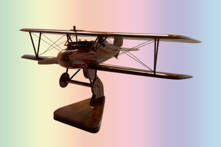 Albatros - Image 12