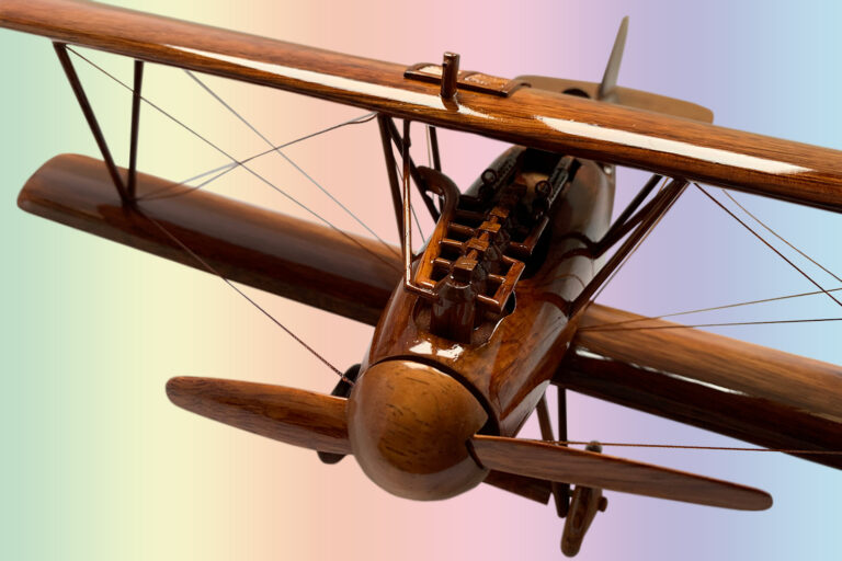 Albatros - Image 3