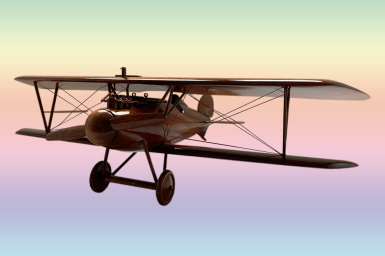 Albatros - Image 5