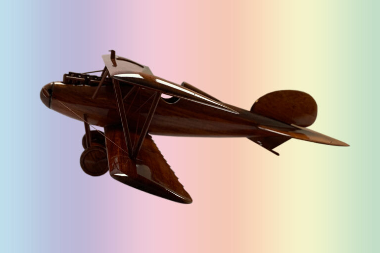 Albatros - Image 6