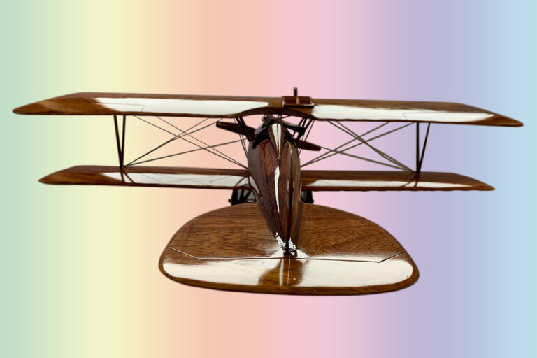 Albatros - Image 8
