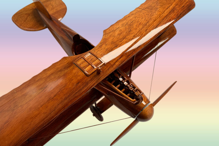 Albatros - Image 11