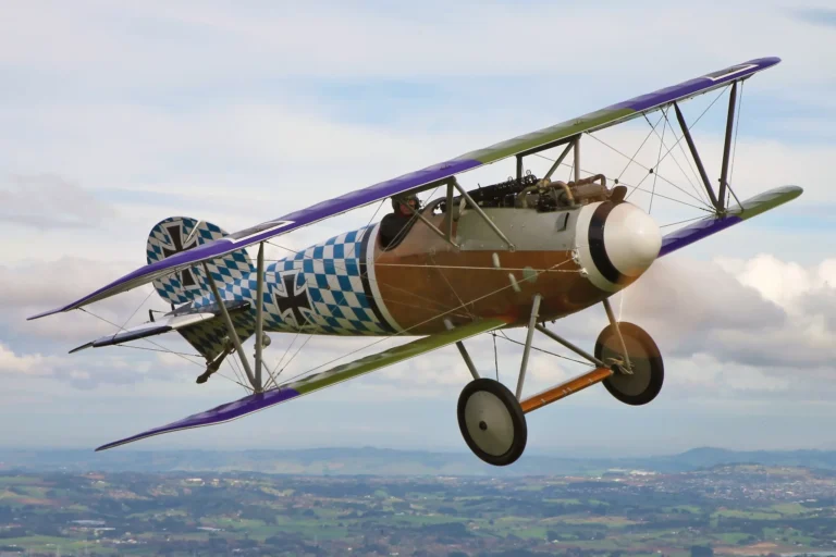 Albatros - Image 17