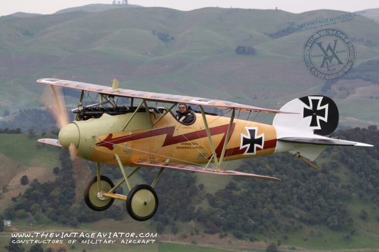 Albatros - Image 15