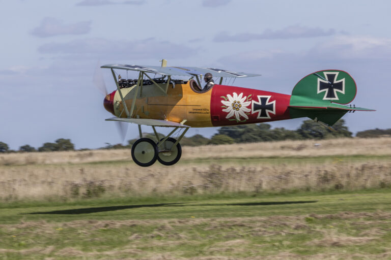 Albatros - Image 18