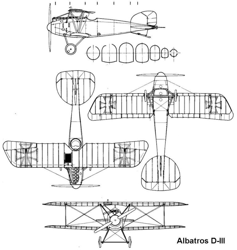 Albatros - Image 23