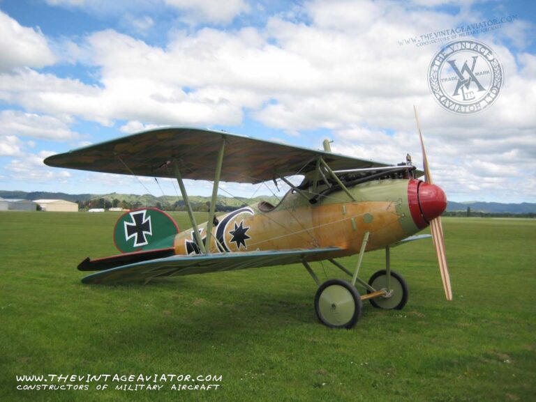 Albatros - Image 4