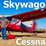 Cessna 180 Skywagon - Image 18